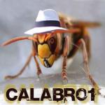 L'avatar di Calabrone