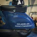 L'avatar di pirovespa