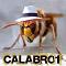Calabrone's Avatar